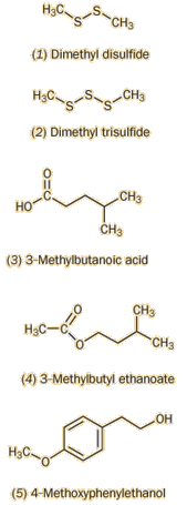 Structures of: (1) dimethyl disulfide (2) dimethyl trisulfide (3) 3-methylbutanoic acid (4)  3-methylbutyl ethanoate (5) 4-methoxyphenethyl ethanol