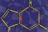 A schematic style cartoon of a molecular diagram where tiny people are climbing ladders for some of the bonds