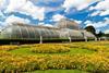 Kew's greenhouse