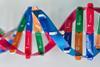 A plastic model of a DNA double helix showing the pairings of Cytosine and Guanine, and Thymine and Adenine