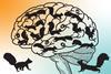 Squirrels look for acorns of chemistry information in a brain