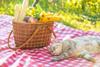 Wicker picnic basket filled with food and a cat both on a chequered blanket in the sun