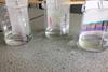 An image showing three thin layer chromatography plates; each is suspended in a measuring flask using a lolly stick and paper clip, the flasks are all on a workbench.
