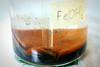 A brown precipitate at the bottom of a glass beaker labelled with the chemical formula for iron(II) hydroxide