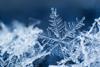 An icy snowflake sitting upright on other snowflakes with a dark navy background