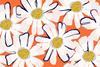 Colourful illustration in graphic style of flat daisy flowers