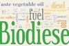 Words relating to biofuel