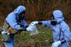 An image showing OPCW inspectors collecting samples during a mock inspection exercise