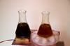 Two iodine clock reactions in beakers showing how rate of reaction is affected by temperature