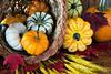 A selection of different pumpkins