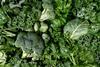 A photo of leafy green vegetables
