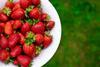 A white bowl of strawberries with grass in the background