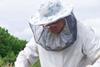A bee keeper checks his hive