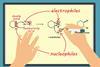 Hands labeling the nucleophiles and electrophiles on a chemical equation between benzene and bromine