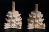 One carved ivory item next to a 3D printed fake