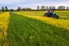 Aerial photograph of tractor mowing rapeseed