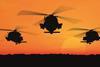 helicopters flying against the sunset