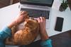 Person working on laptop with ginger cat resting between their hands