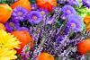 Purple Michaelmas daisies and autumnal flowers 