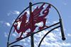 Red Welsh dragon outline on black metal signpost