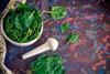 Spinach in a mortar with pestle on side