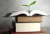 A plant sprouting from the pages of a book