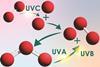 A diagram showing UVC breaking down oxygen gas into individual oxygen atoms that then combine with oxygen gas to make ozone. Ozone is broken down again by UVA and UVB