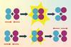 A diagram showing how when two molecules collide they have to have enough energy to react together