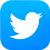 Twitter logo – white bird on light blue background.