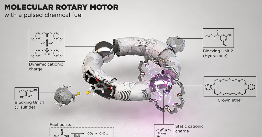 Molecular motors power on | Feature | RSC Education