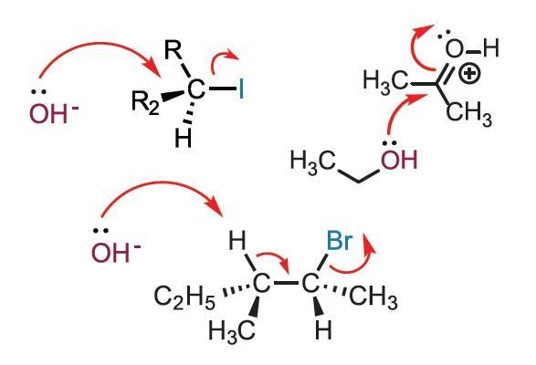 Reorganising organic chemistry | News | RSC Education