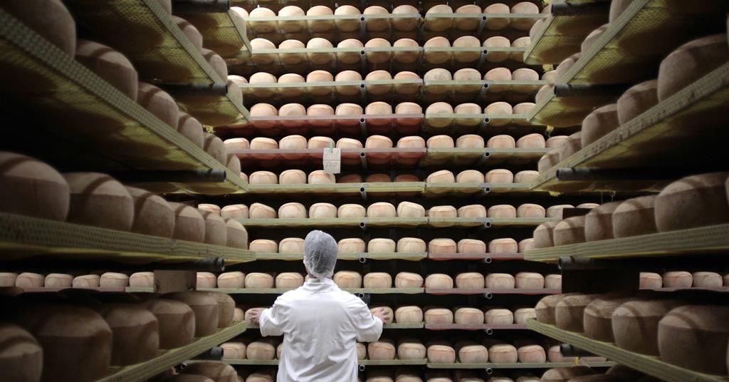 7 Lessons I Learned Working with a Cheesemaker