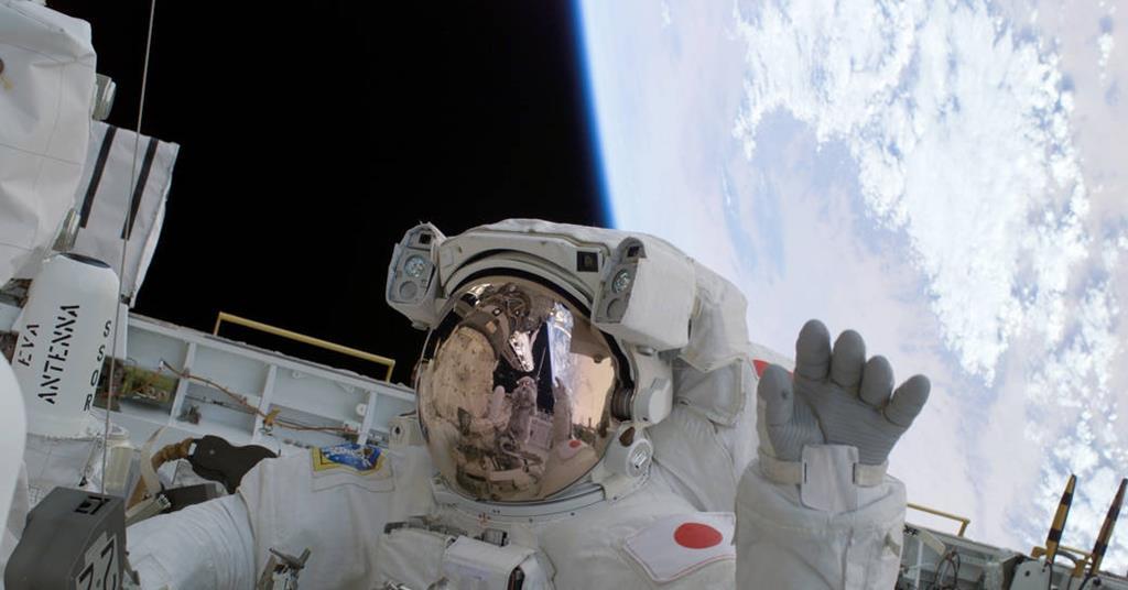 The human body in space: Distinguishing fact from fiction - Science in the  News