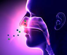 olfactory indicators experiment