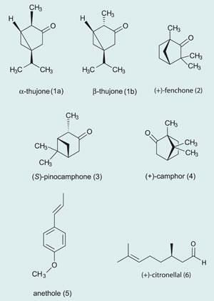 Vincent van Gogh, chemistry and absinthe | Feature | RSC Education