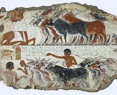 Egyptian materials and pigments | Resource | RSC Education