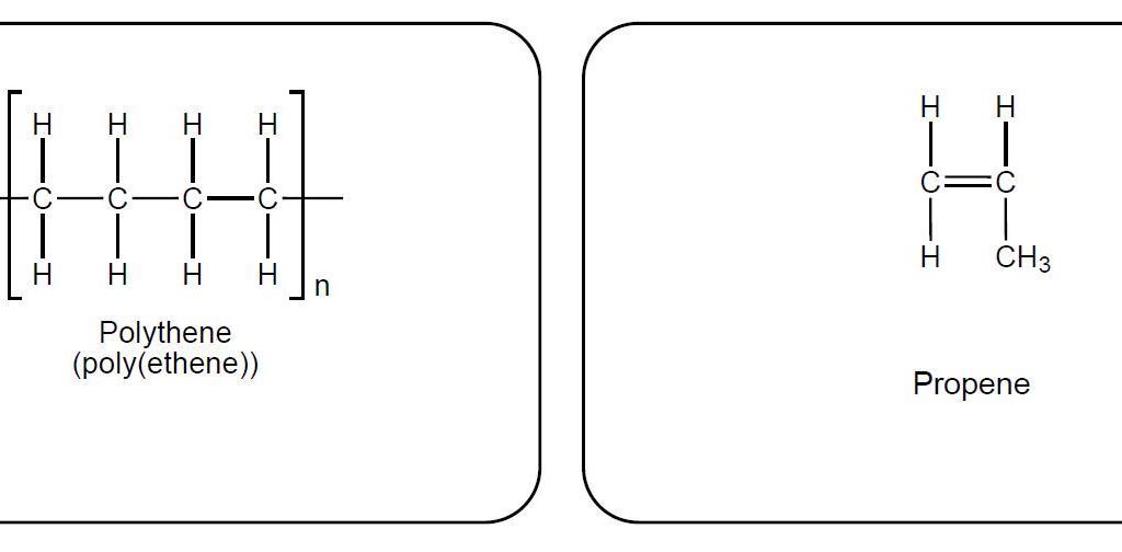 monomers polymers