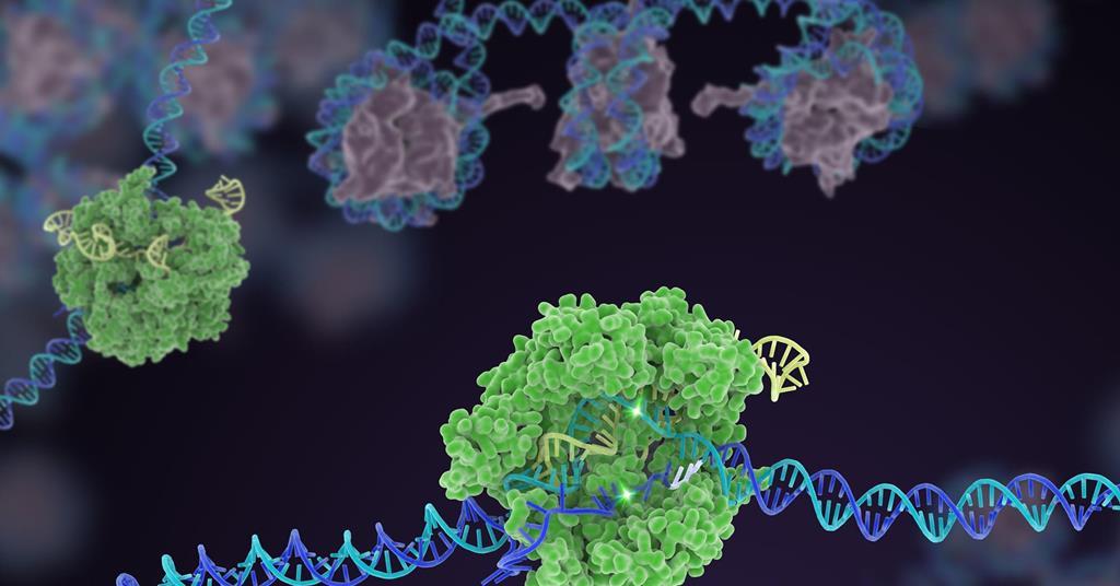 CRISPR: The cutting edge | Feature | RSC Education