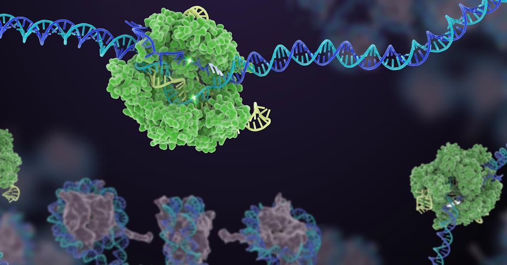 CRISPR: The cutting edge | Feature | RSC Education