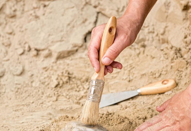 Past secrets unearthed | The Mole | RSC Education