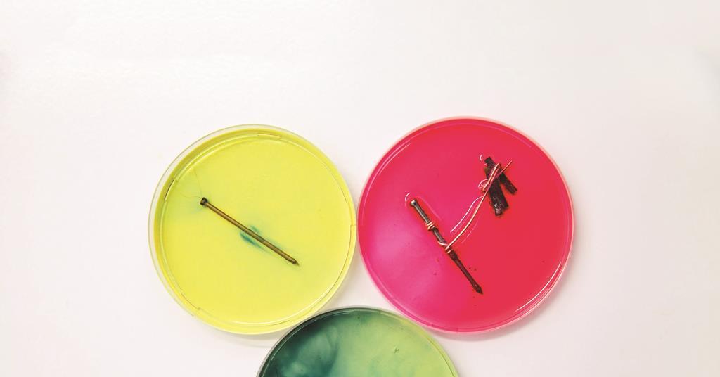 Nailing corrosion demonstrations Exhibition chemistry RSC Education