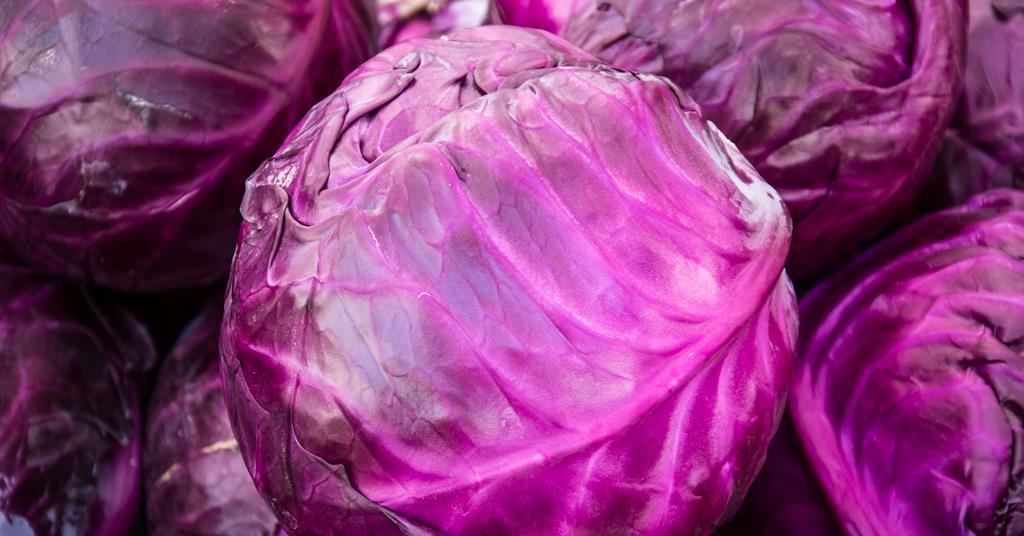 purple cabbage indicator