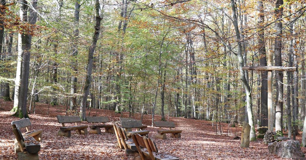 How science can make burial, cremation and memorial greener | Feature ...