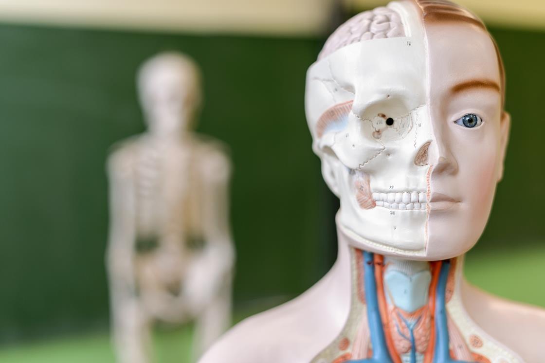 Five tips to help chemists teach biology effectively | Ideas | RSC ...