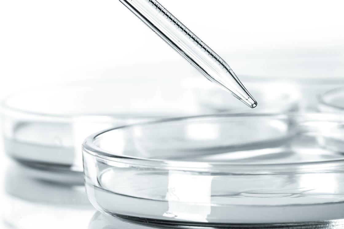 The chemical properties of phenol Experiment RSC Education