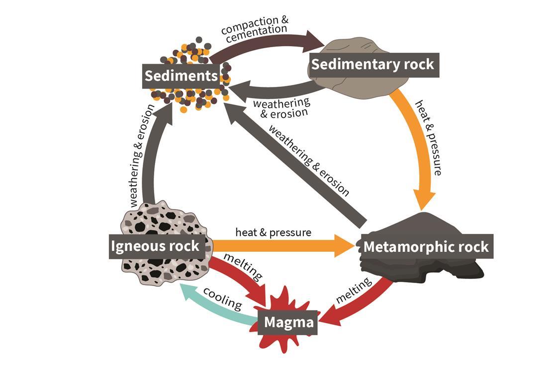 Rock Cycle Board Game 