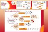 Example slides from this resource showing a bonding decision tree
