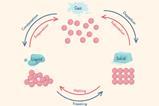 A diagram showing how gas, liquid and solid are formed and the terms for transitions between the states.