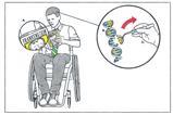 A student in a wheelchair reading Frankenstein while thinking about gene editing