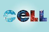 An image showing the word "Cell" filled with pictures of cells